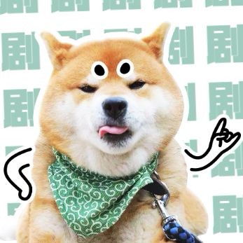 影视调皮汪