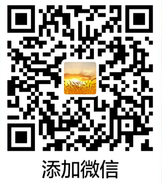 二维码