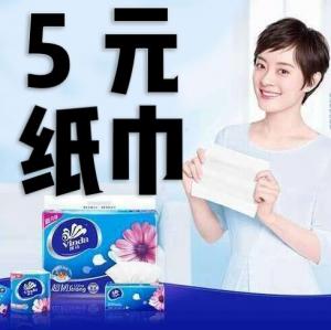 纸巾抽纸湿纸巾5块