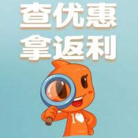 查天猫淘宝购物优惠券