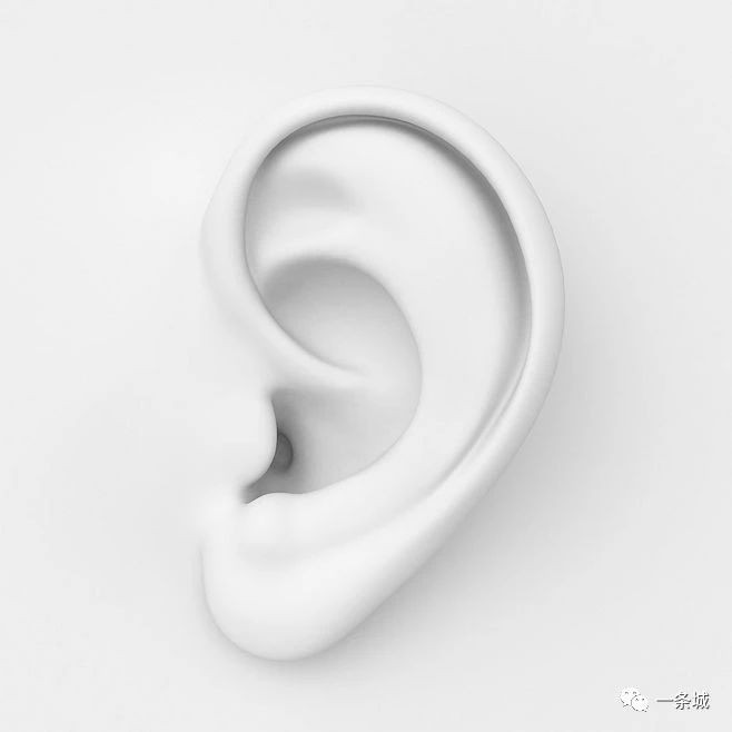 一条城