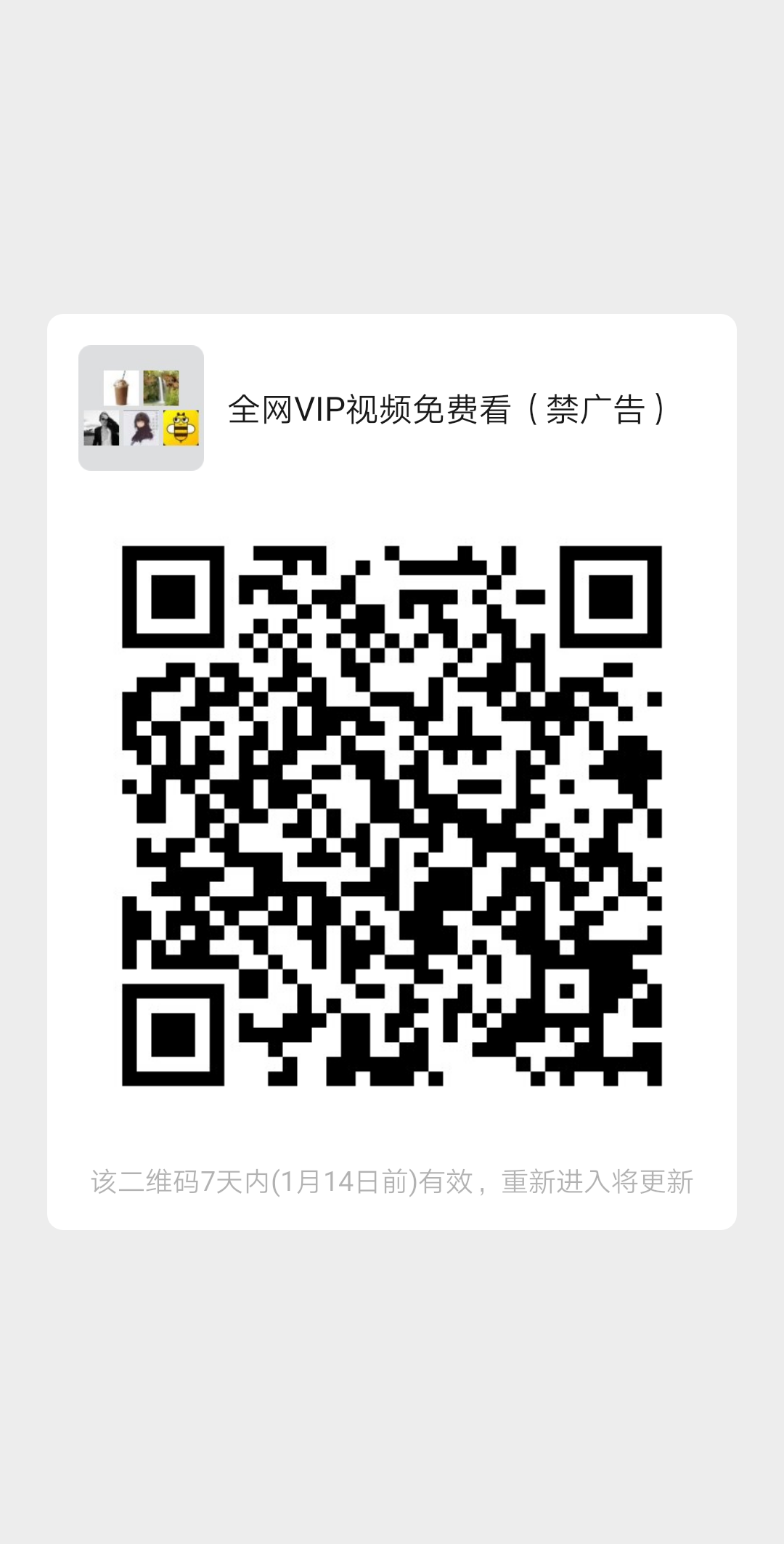 全网视频免费看