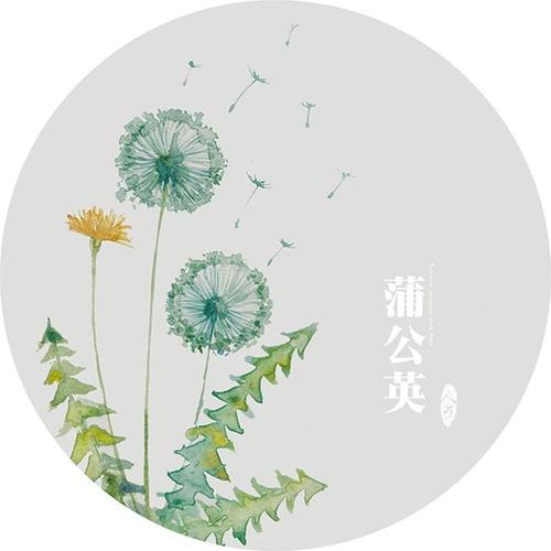 专发荭bao的福利微信群
