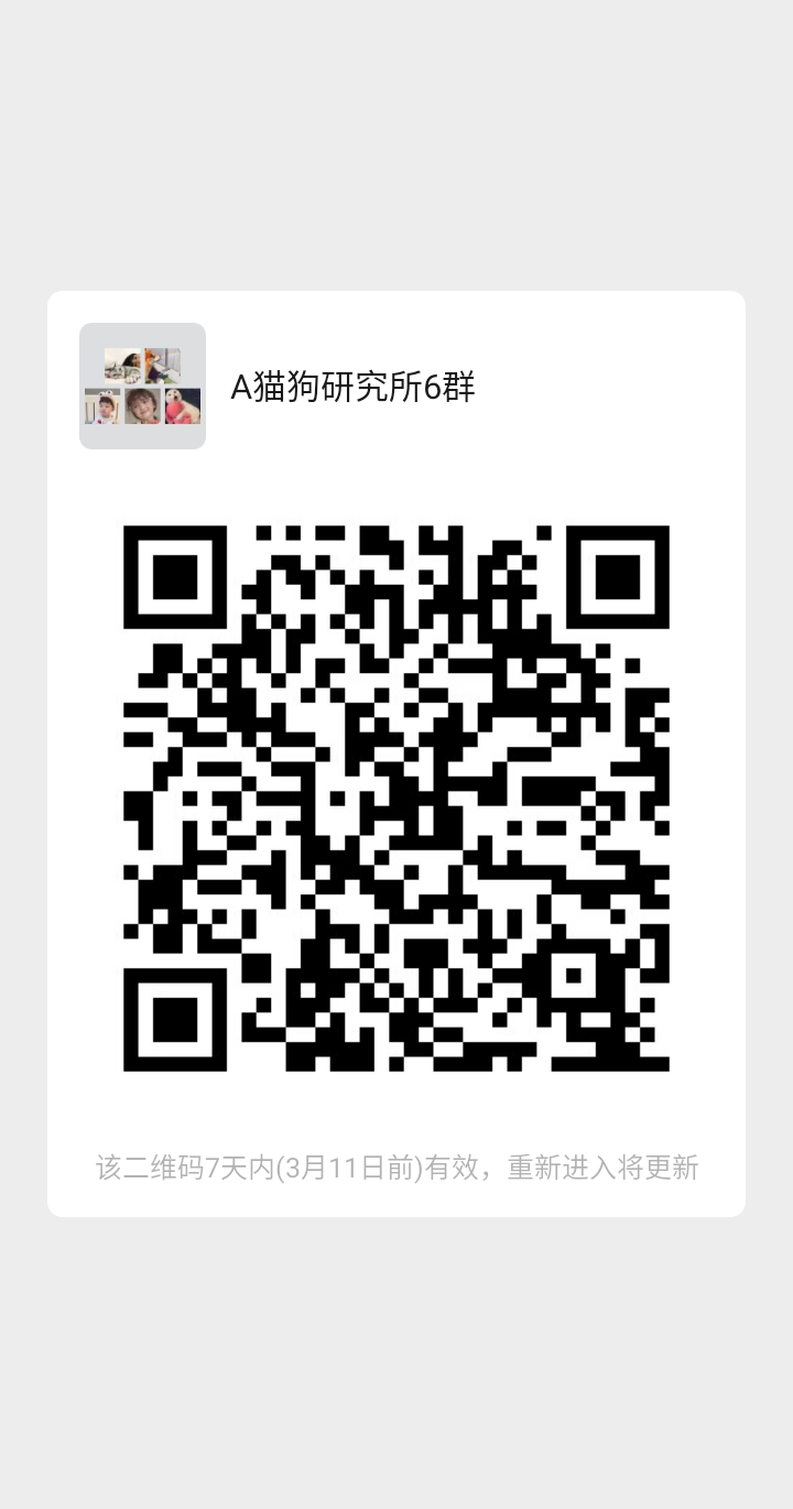 宠物领养救助义诊交流