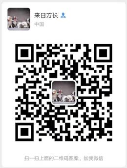 抖音暴力引流增粉