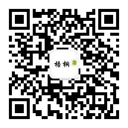 梧桐小说推荐