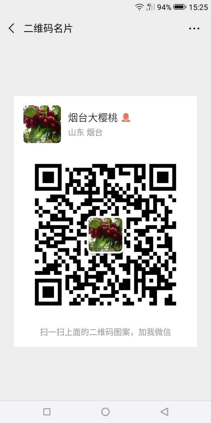 烟台大樱桃