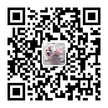 小说资源