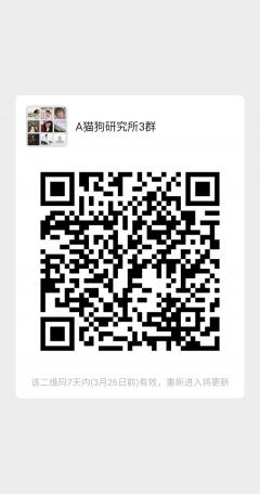 宠物训练领养救助义诊交流