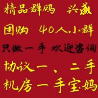 各种高质量群 群码