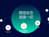 九大理由告诉你，微信视频号为什么是你的官网？