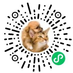 猫猫狗狗用品