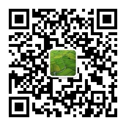 高标准农田建设