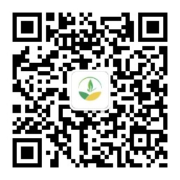 灵动春城