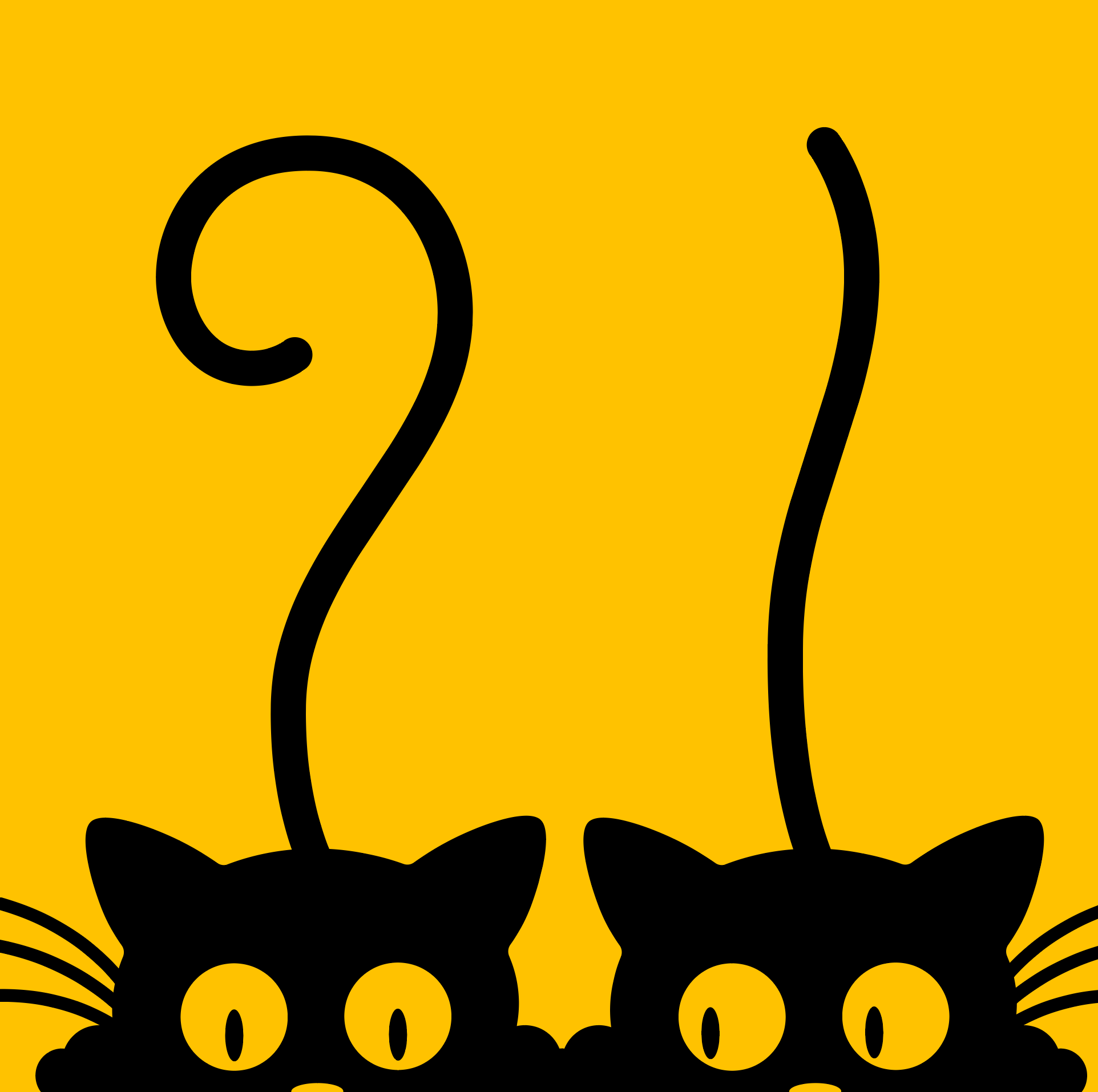 猫二十一